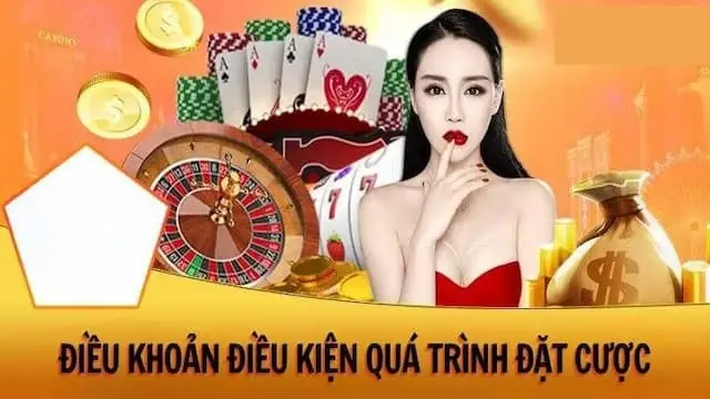 Hướng dẫn đọc hiểu điều khoản điều kiện nohu hiệu quả